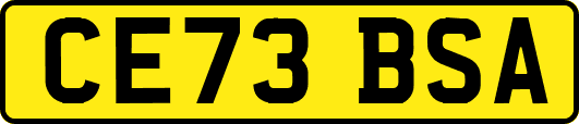 CE73BSA
