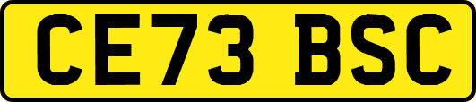 CE73BSC