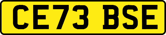 CE73BSE