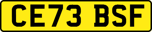 CE73BSF