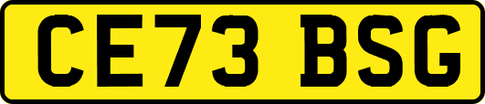 CE73BSG