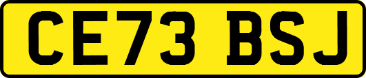 CE73BSJ