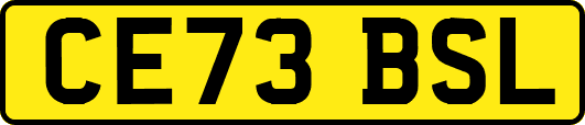 CE73BSL