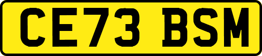 CE73BSM