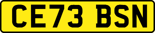 CE73BSN