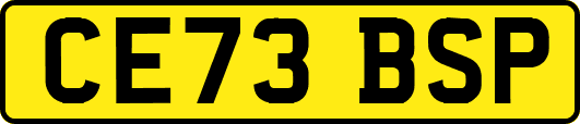 CE73BSP