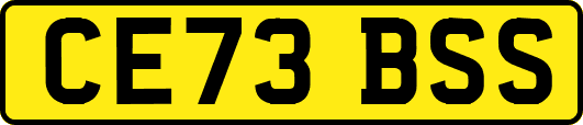 CE73BSS