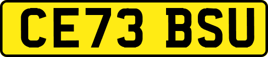 CE73BSU