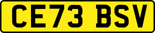 CE73BSV