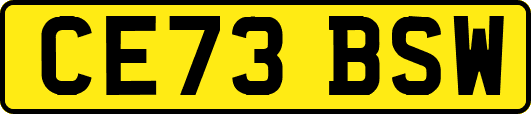 CE73BSW