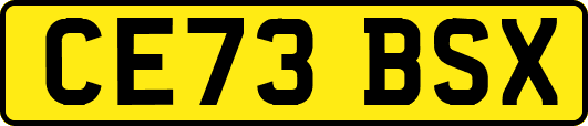 CE73BSX