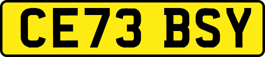 CE73BSY