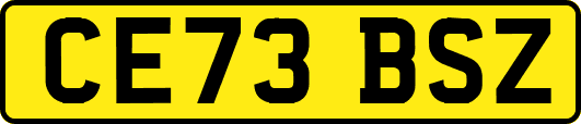 CE73BSZ