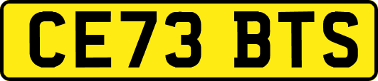CE73BTS