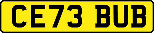 CE73BUB