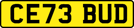 CE73BUD
