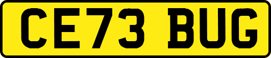 CE73BUG