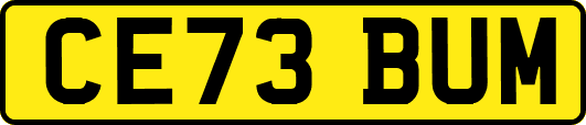 CE73BUM
