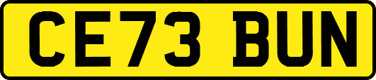CE73BUN