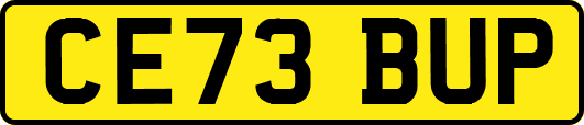 CE73BUP