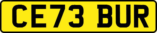 CE73BUR