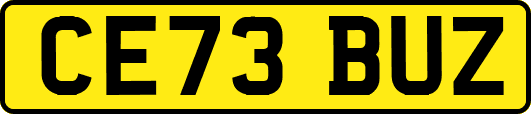 CE73BUZ