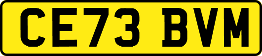CE73BVM