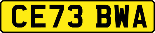 CE73BWA