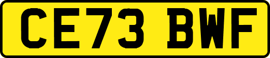 CE73BWF