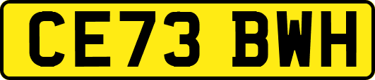 CE73BWH
