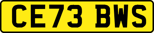 CE73BWS