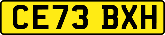CE73BXH
