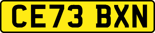 CE73BXN