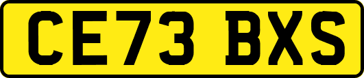 CE73BXS
