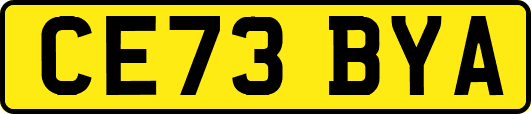 CE73BYA