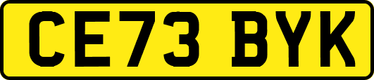 CE73BYK