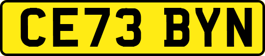 CE73BYN