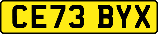 CE73BYX
