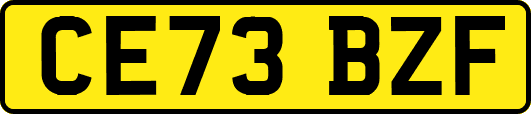CE73BZF