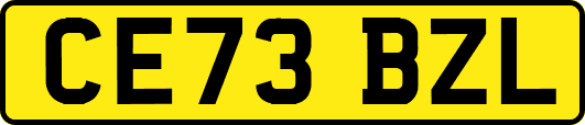 CE73BZL