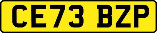 CE73BZP