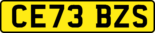 CE73BZS