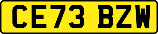 CE73BZW