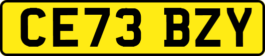 CE73BZY