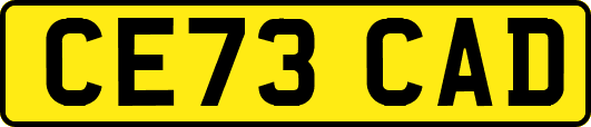 CE73CAD