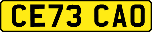 CE73CAO