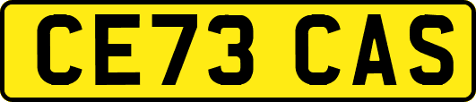 CE73CAS