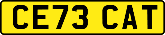 CE73CAT