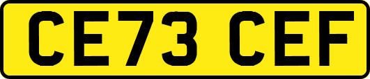 CE73CEF