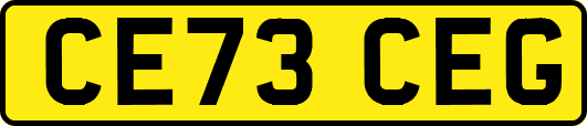 CE73CEG